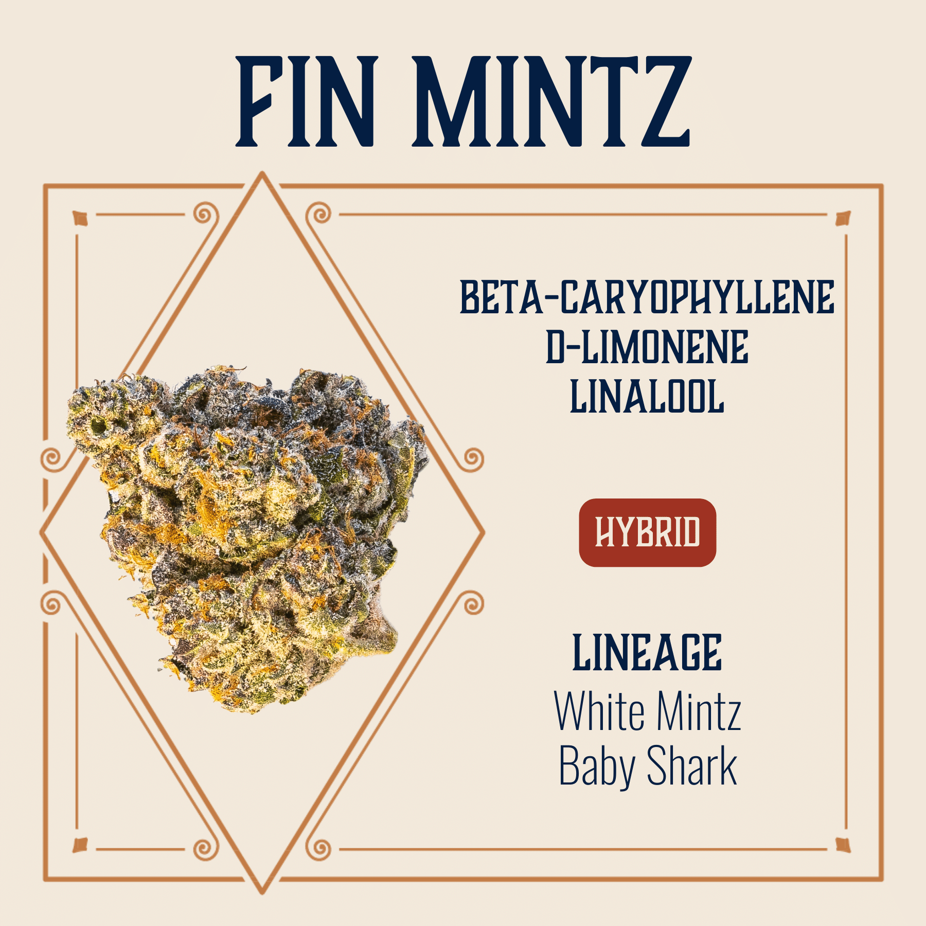 Photograph of product: Fin Mintz Flower | 3.5g