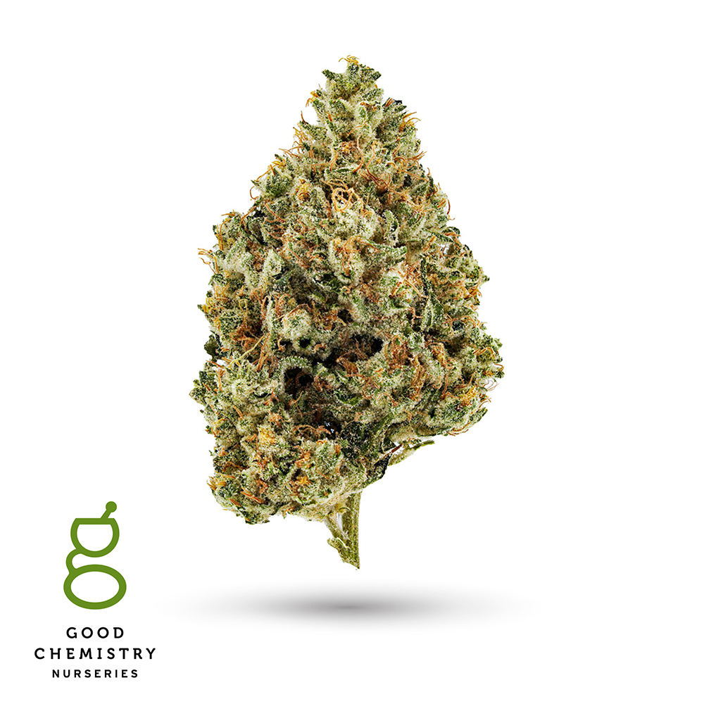 Photograph of product: Chocolate Chem - 28g