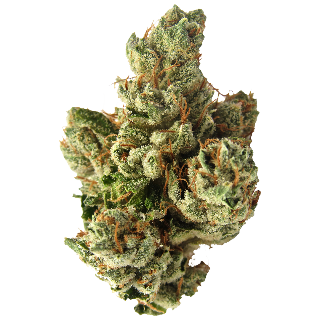 Photograph of product: SFV OG - Fresh - 3.5g
