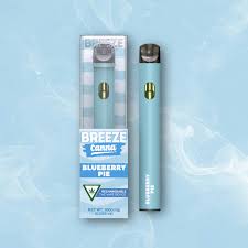 Photograph of product: Breeze Canna - Blueberry Pie - Disposable