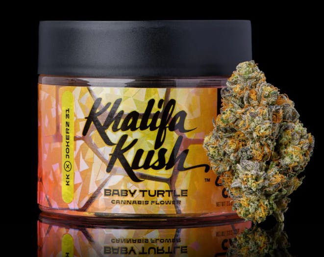 Photograph of product: Baby Turtle | Flower - 