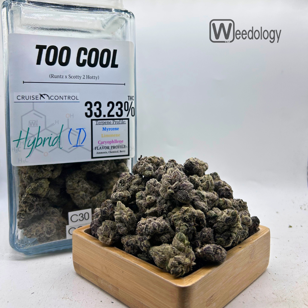 Photograph of product: Too Cool (I-H) - 28g