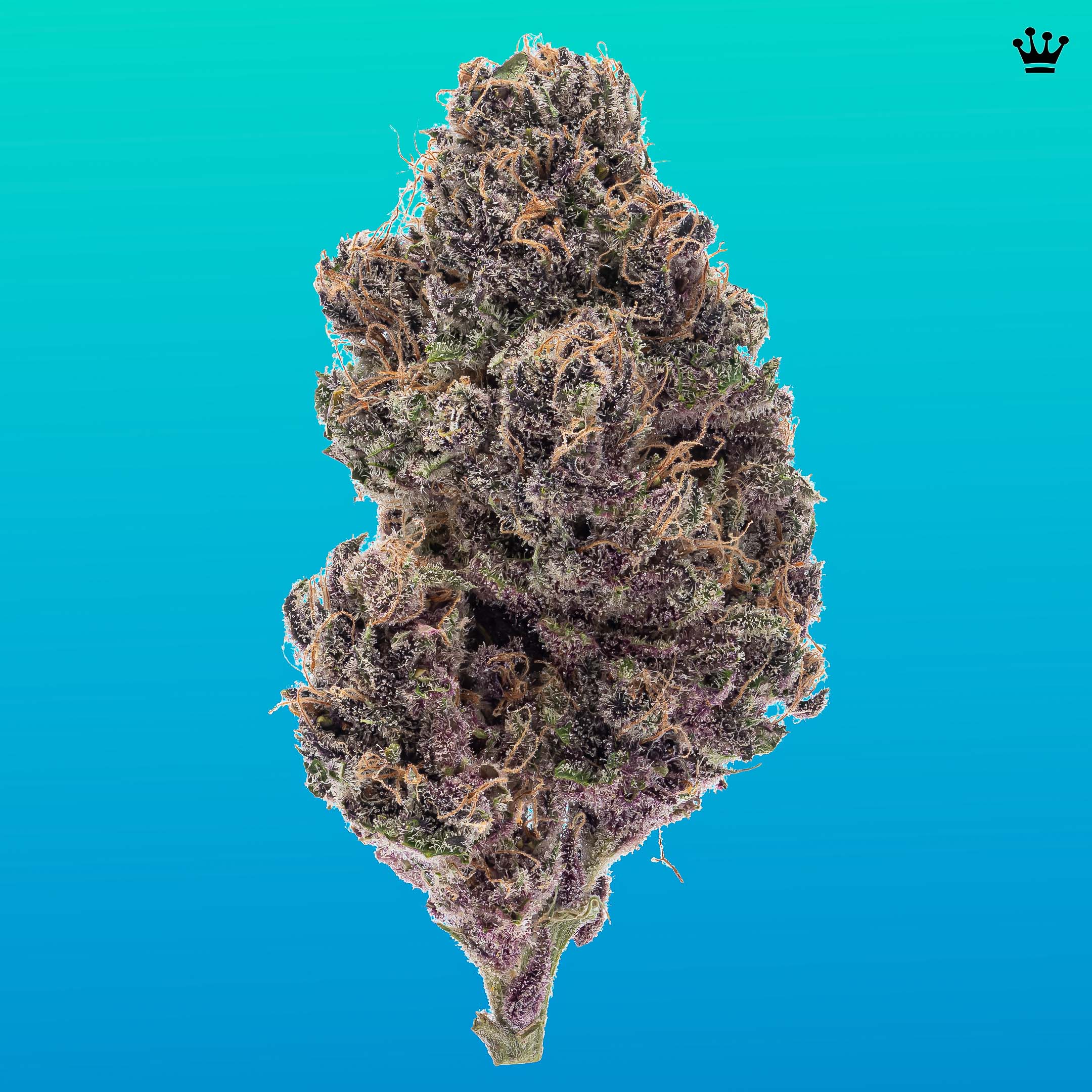 Photograph of product: Kind & Co // Jah Goo - 7g