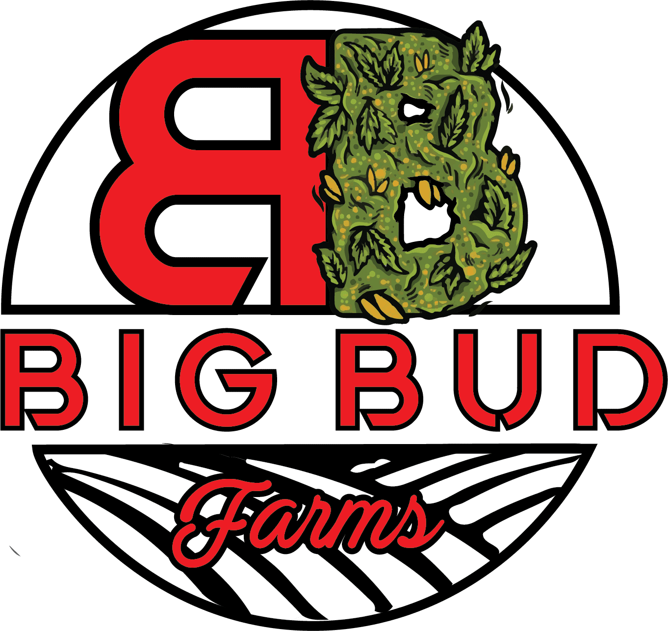 Photograph of product: Big Bud Farms Live Resin Badder 1g Honey Crisp Apple