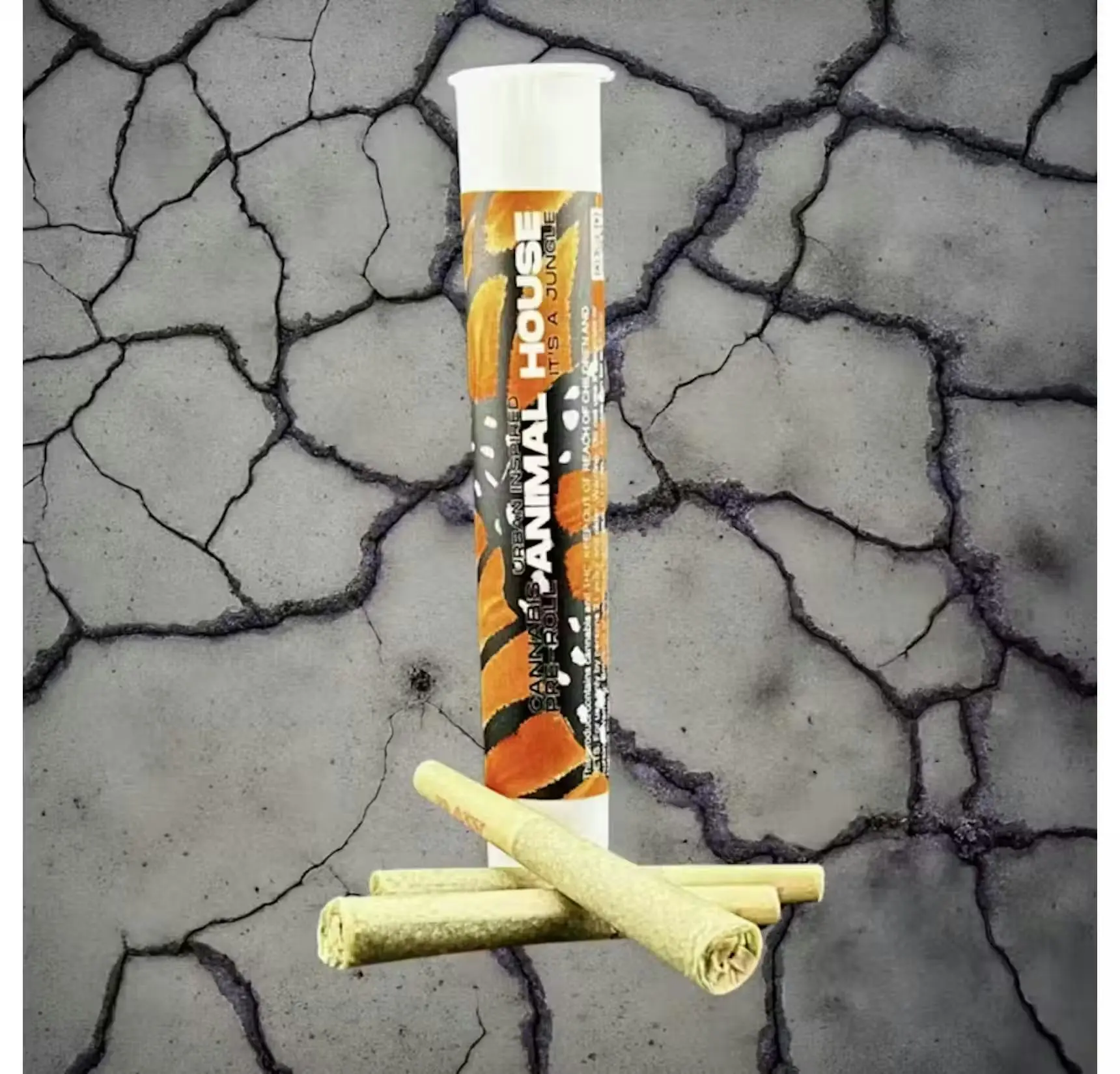 Photograph of product: Animal House | Pre-Roll 2pk | Galactic Guava | Kief Infused