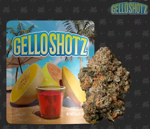 Photograph of product: Seed Junky Gello Shotz Oui'd - 3.5g
