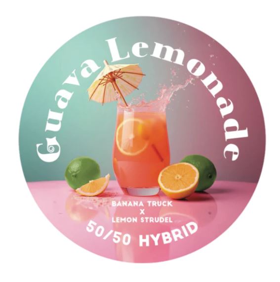 Photograph of product: ROSIN - GUAVA LEMONADE 1G - TEAM ELITE GENETICS