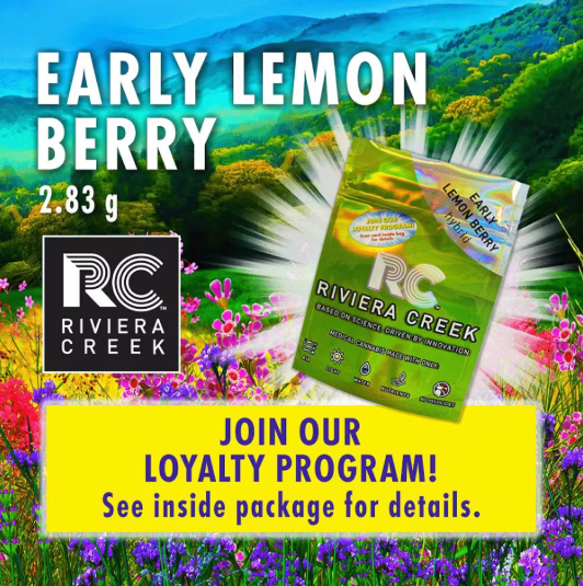 Photograph of product: Riviera Creek | Early Lemon Berry | 2.83g