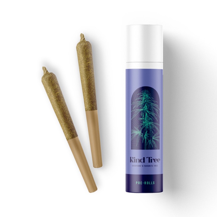 Photograph of product: Kind Tree | Pre-Roll Pack | Mango Haze | 2pk/1g