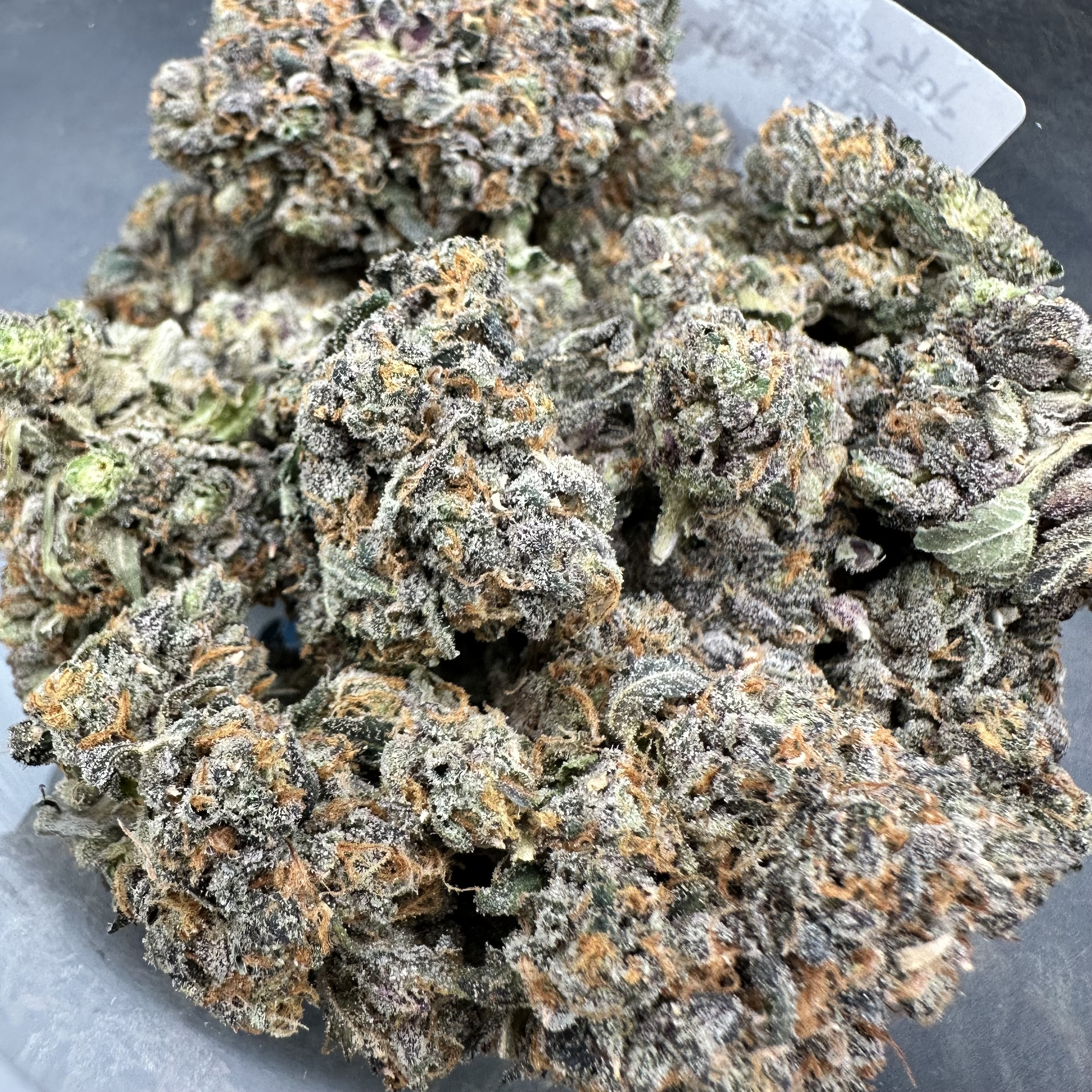 Photograph of product: $75 GMP Flower - Jokerz31 - 28g