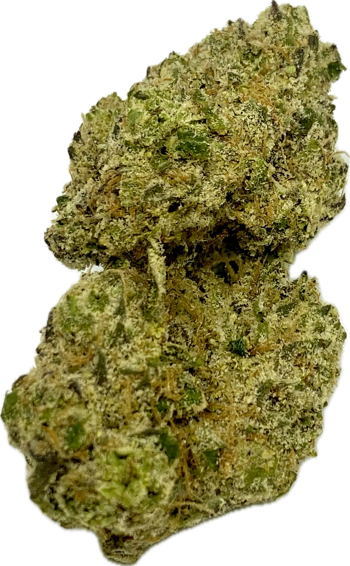 Photograph of product: Premier Meds - Rainbow Runtz - Bulk Flower - 14g