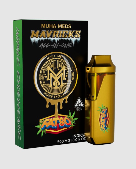 Photograph of Product: MM |  FATSO (I) | .5G HASH ROSIN ALL-IN-ONE