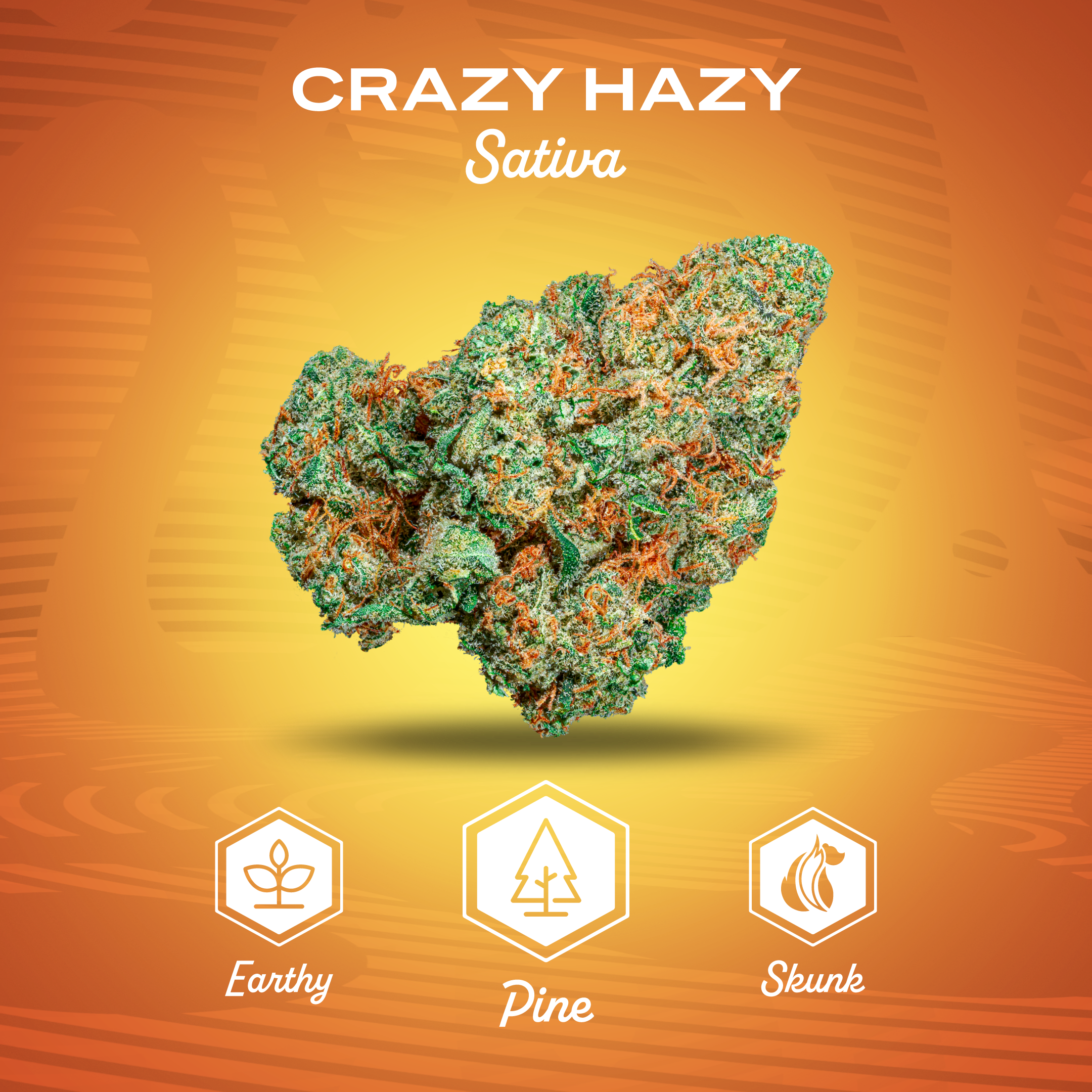 Photograph of product: Flower | Mission | Crazy Hazy - 3.5g