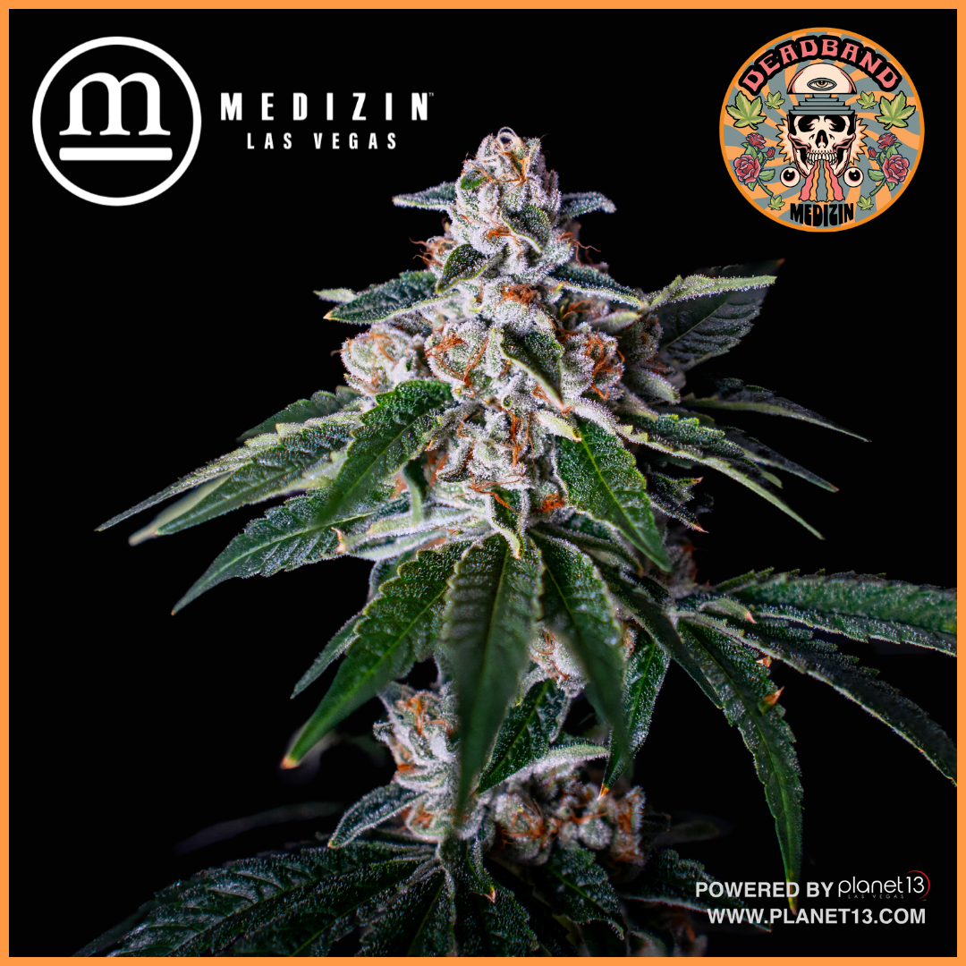 Photograph of product: DeadBand 3.5g Prepack