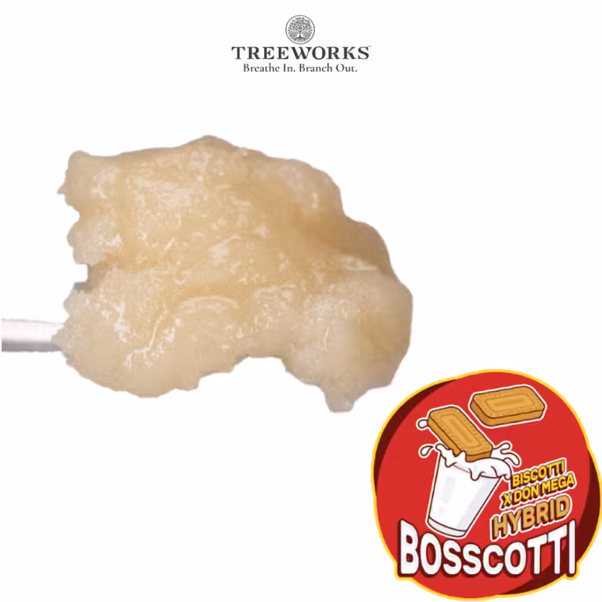 Photograph of product: Bosscotti Live Cold Cure au chocolat Rosin | 1g