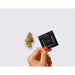 Photograph of product: House of Sacci I Air mail I .7 g I Dime Bag - .7g