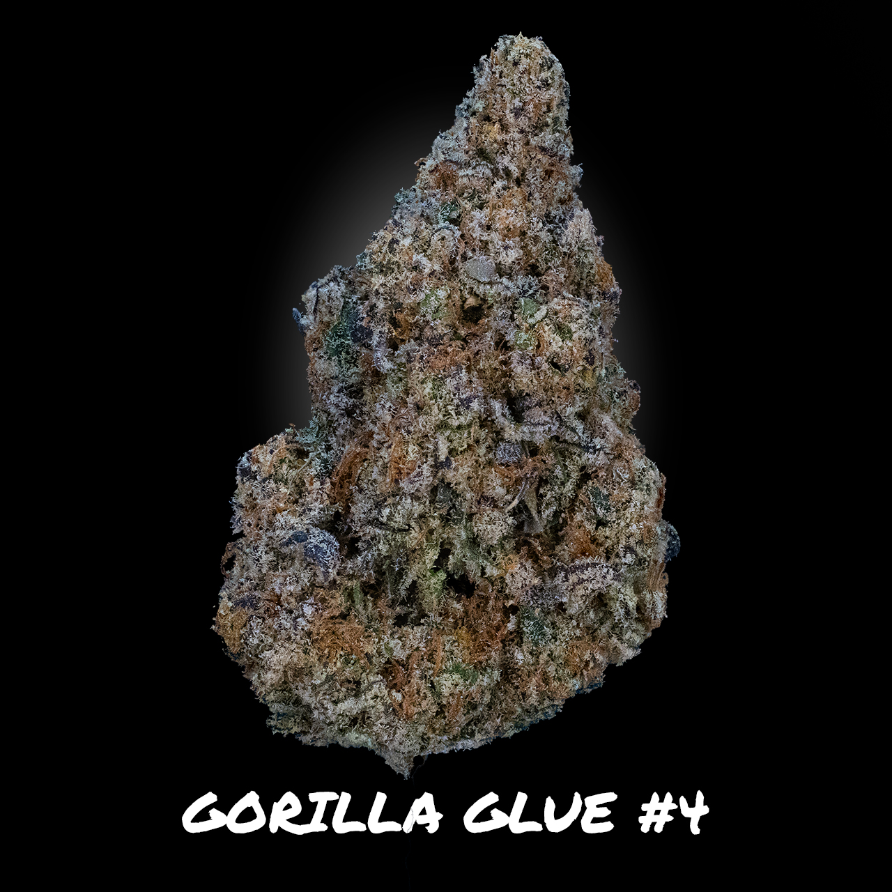 Photograph of product: Gorilla Glue #4 - Demboyz Prepackaged Flower - 3.5g