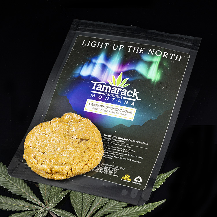Photograph of product: Night - Ginger Snap