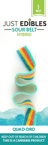 Photograph of product: Just Edibles Sour Long Belt Quad Dro 100mg