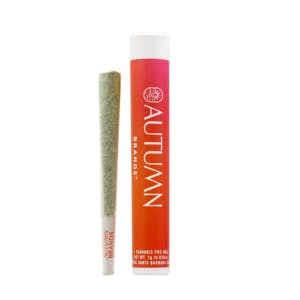 Photograph of product: Funky Flower Child 1g Pre-roll - 