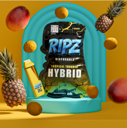 Photograph of product: Tropic Thunder - Disposable