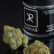 Photograph of product: Flower - Kaviar - Blue Zushi (H) - 3.5g