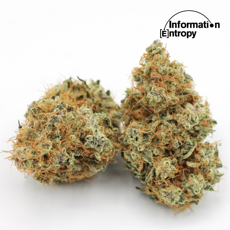 Photograph of product: Information Entropy Gak Rainbows Prepack - 3.5g