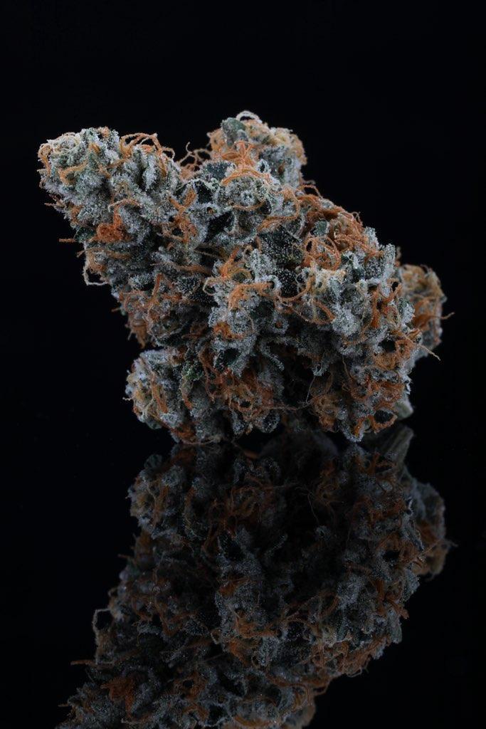 Photograph of product: Headband | Flower | Midnight Fruit Co. - 7g
