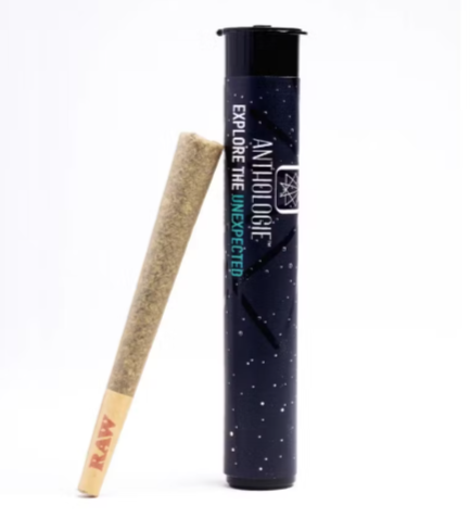 Photograph of product: Anthologie | Preroll | Motorbreath #15 | 1g