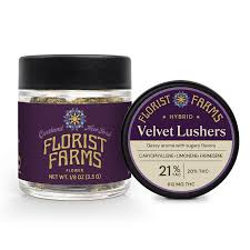 Photograph of product: Florist Farms Flower | 3.5g | Velvet Lushers