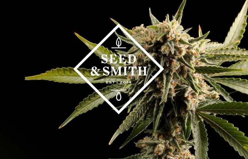 Photograph of product: Seed & Smith - Flower - Jack Herer - Bulk - 28g