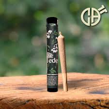 Photograph of product: Eden | Peach Punch BH Infused PRJ