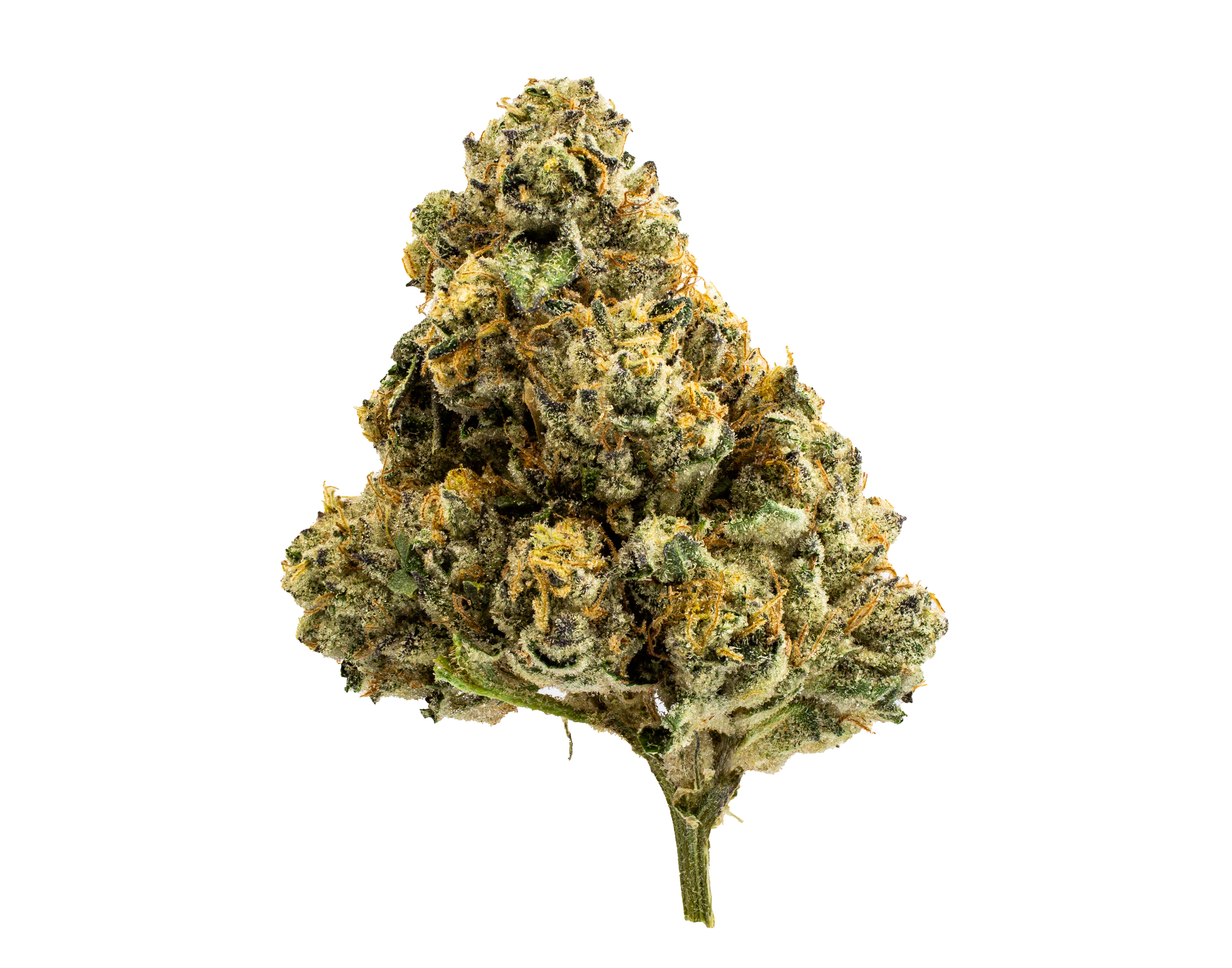 Photograph of product: Birthday Cke Small Buds 7g