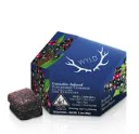 Photograph of product: Wyld | 2:1 Elderberry Gummies | 100MG (I)