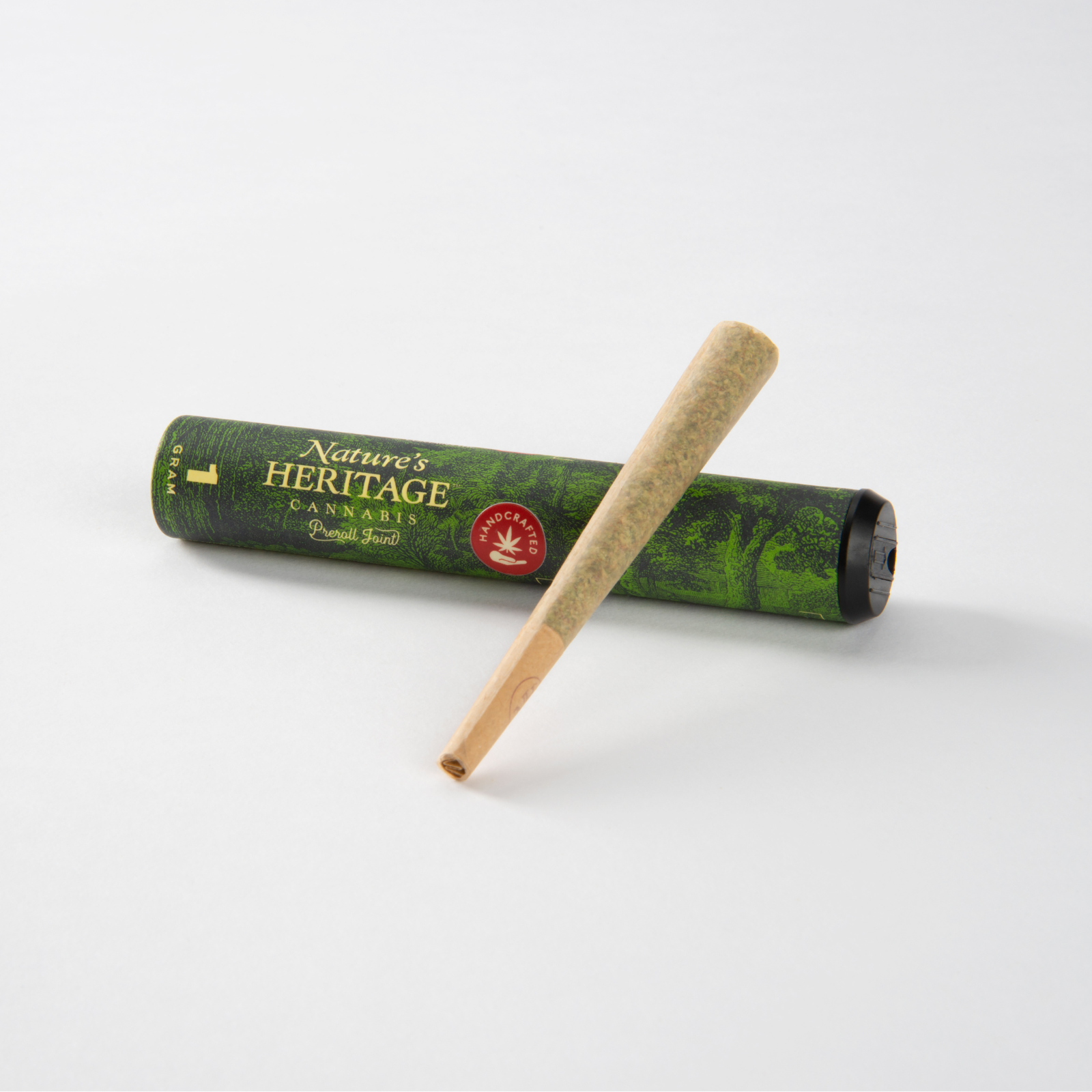 Photograph of product: Governmint Oasis | 1g