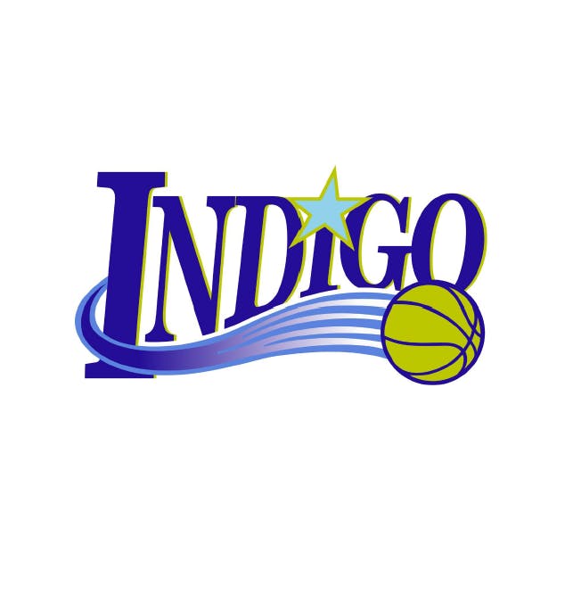 Photograph of product: Indigo Basketball T-Shirt
