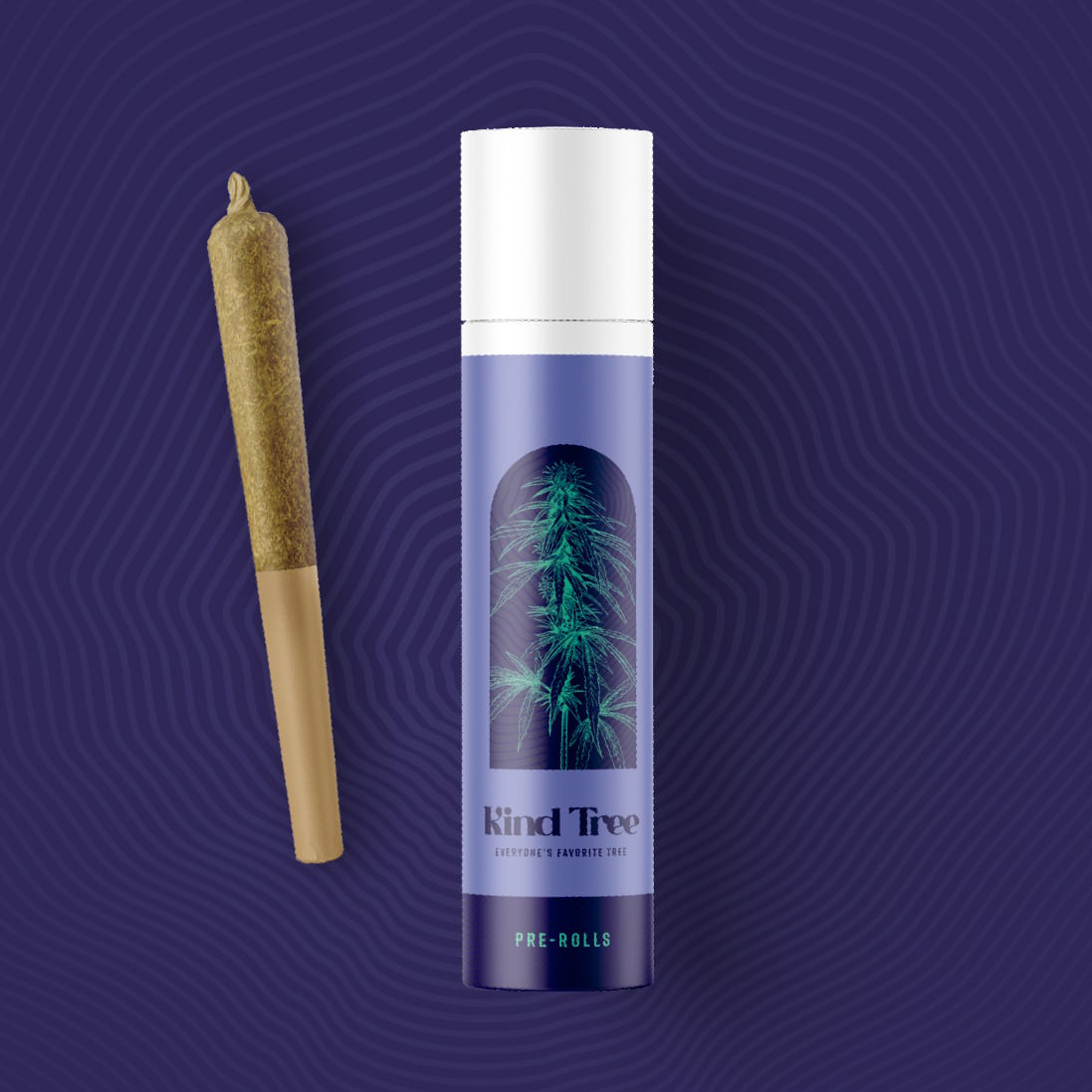 Photograph of product: Kind Tree - Ice Cream Banger Pre-Rolls 2pk 1g