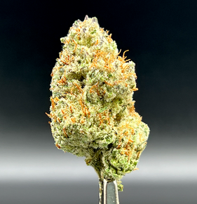 Photograph of product: GMO | 2.3.25 ID - 3.5g