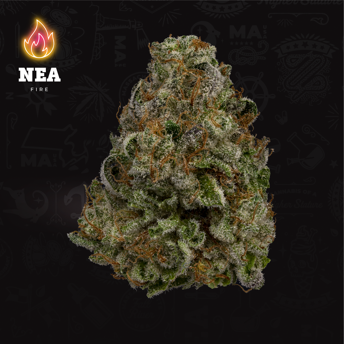 Photograph of product: Gary Payton | Flower | 3.5g