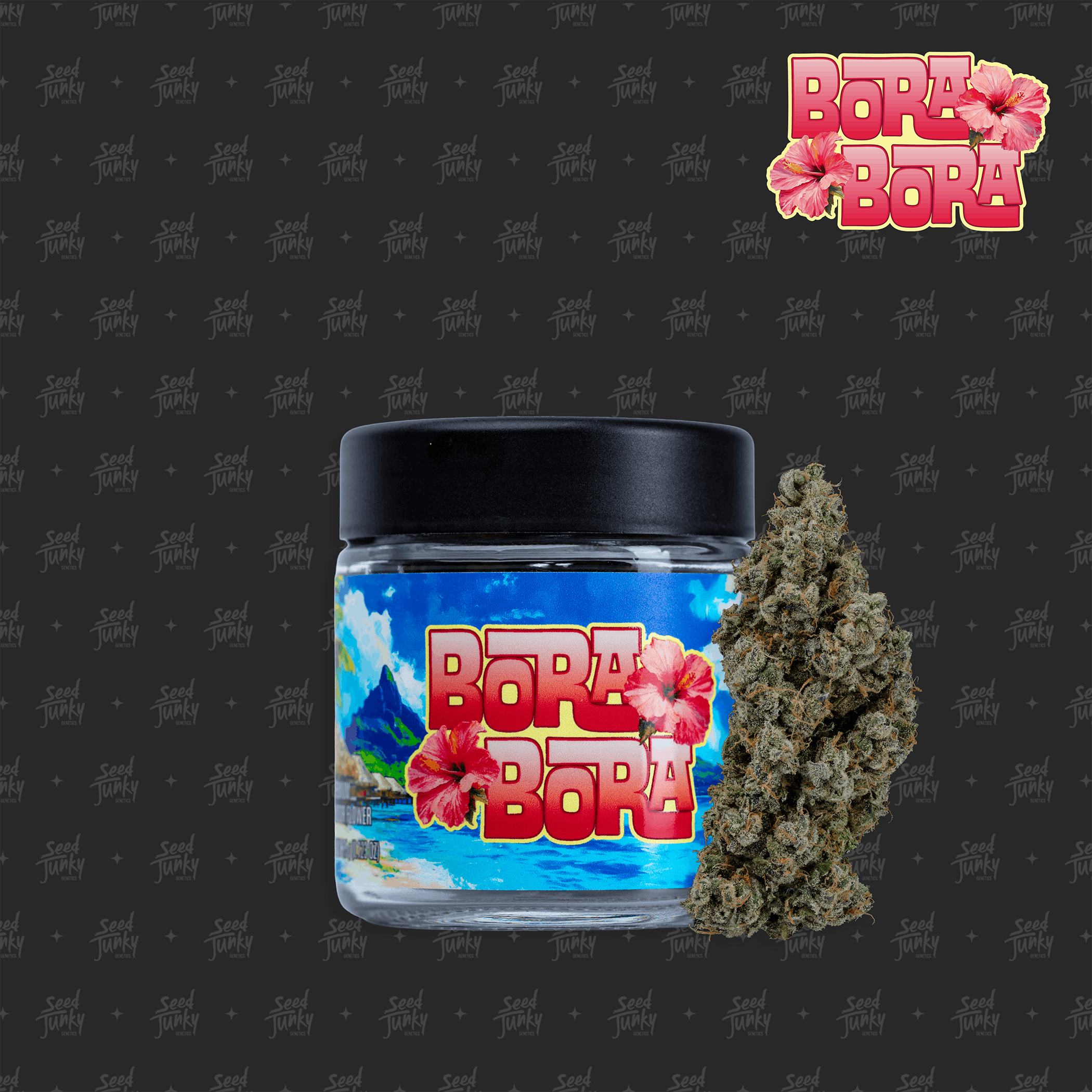 Photograph of product: Seed Junky | Bora Bora (H) | 3.5g Premium Indoor Flower