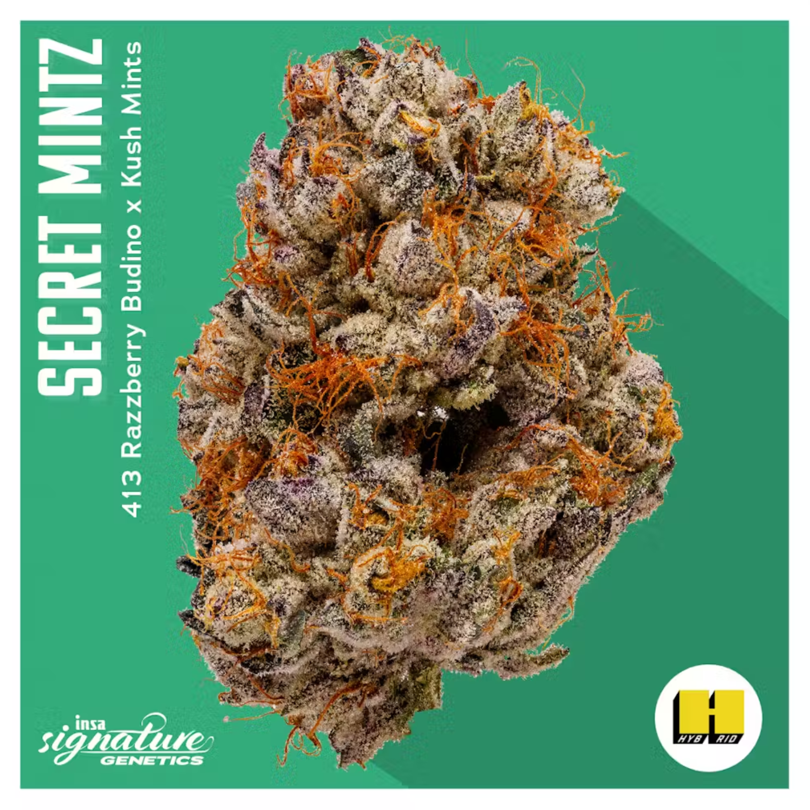 Photograph of product: 3.5g | Secret Mints | INSA