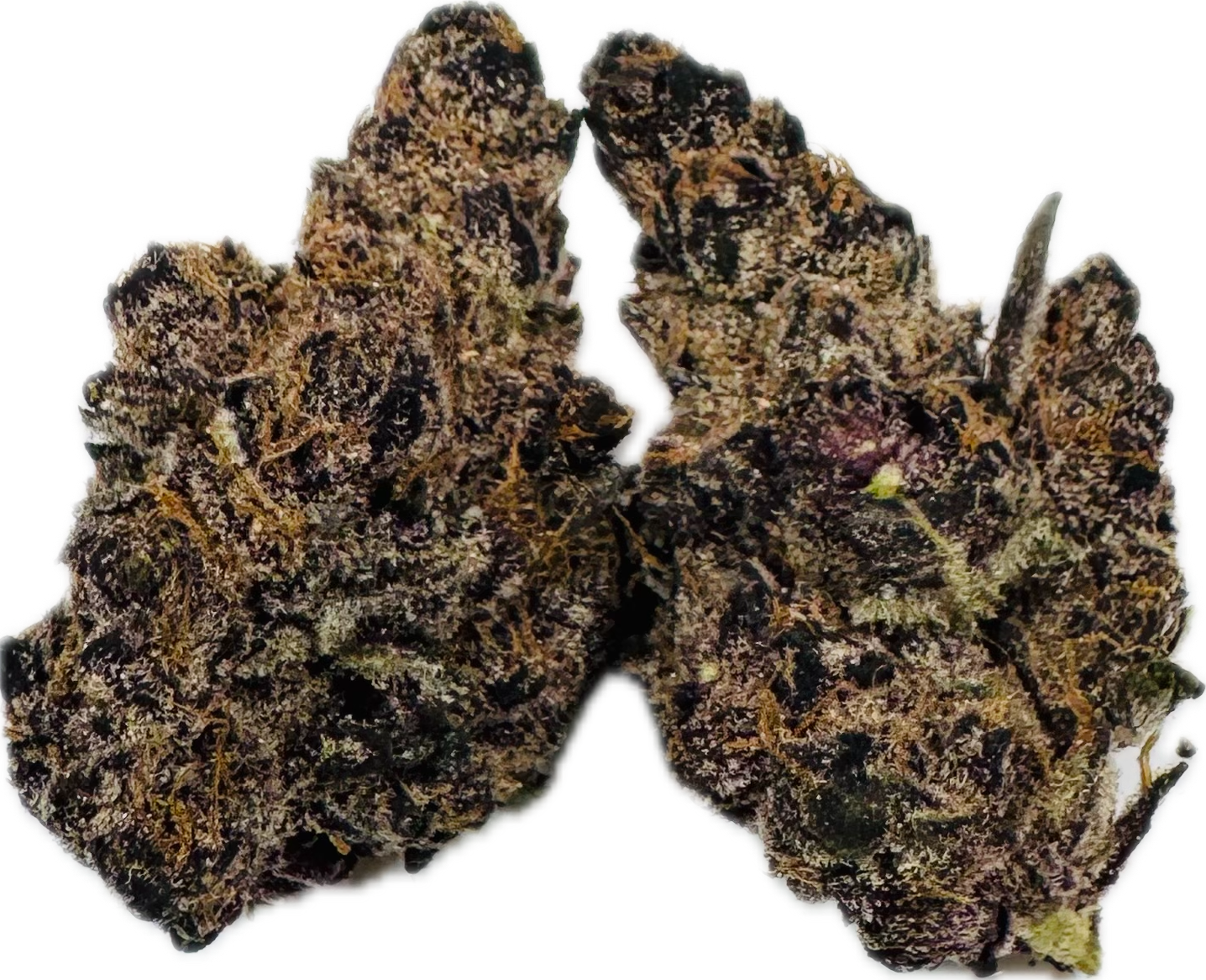 Photograph of product: Halle Berry | $150 OZ Special - 3.5g