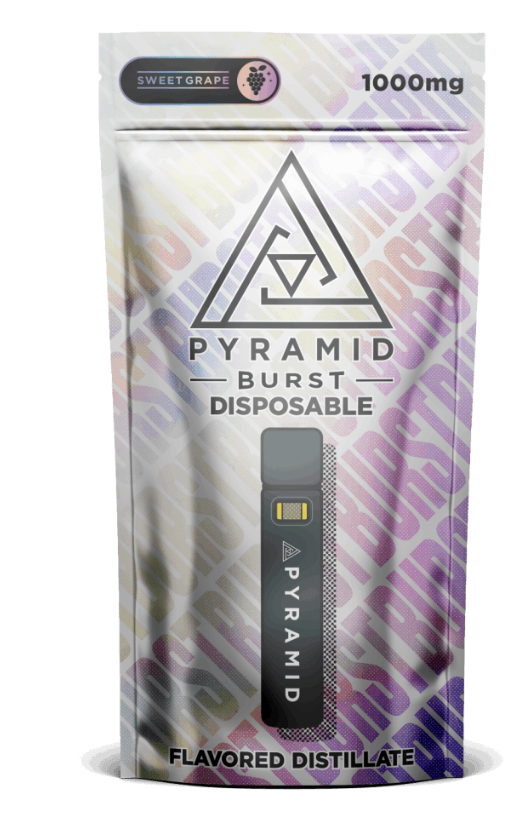 Photograph of product: Burst Sweet Grape Disposable