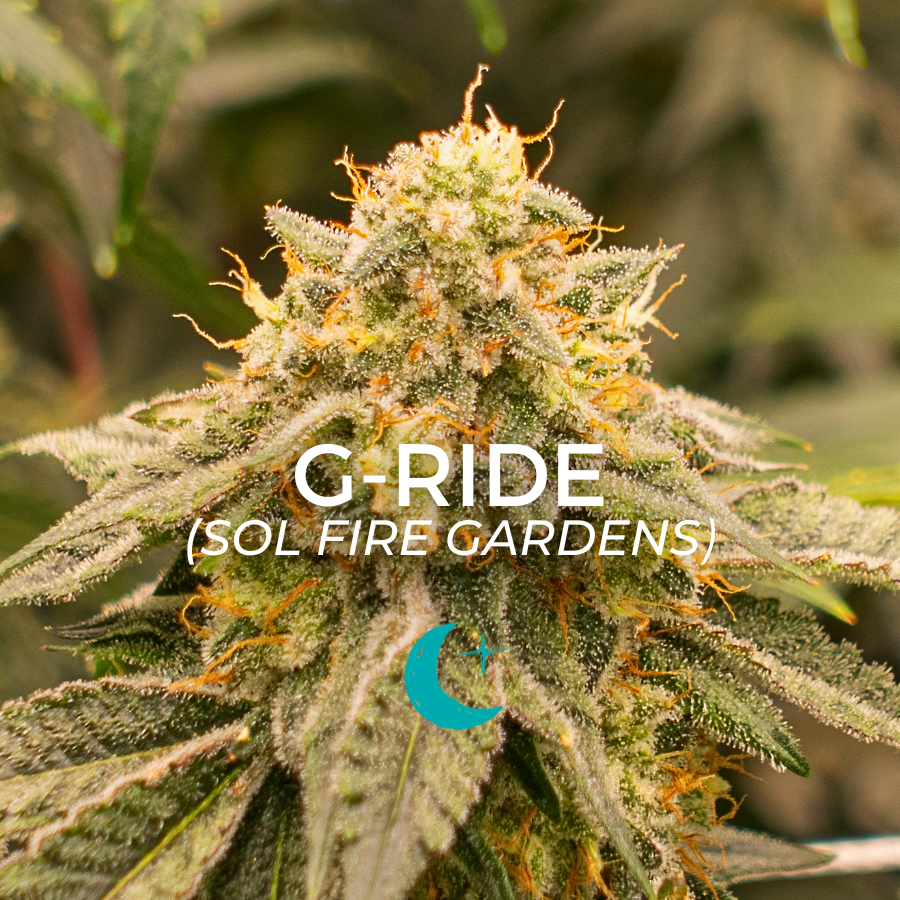 Photograph of product: G-Ride #2 - 2g