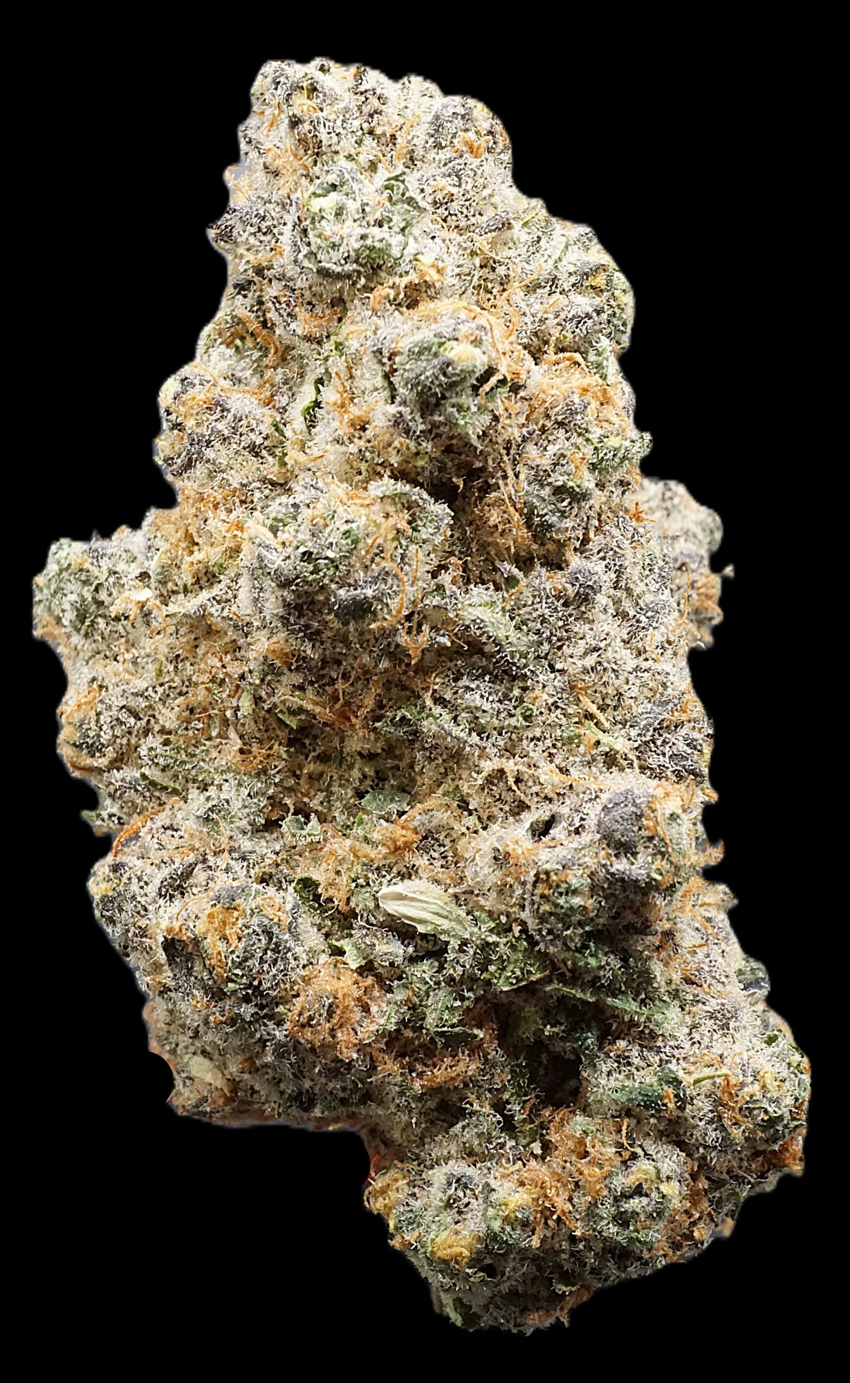 Photograph of product: Tangerine Dream - Buds