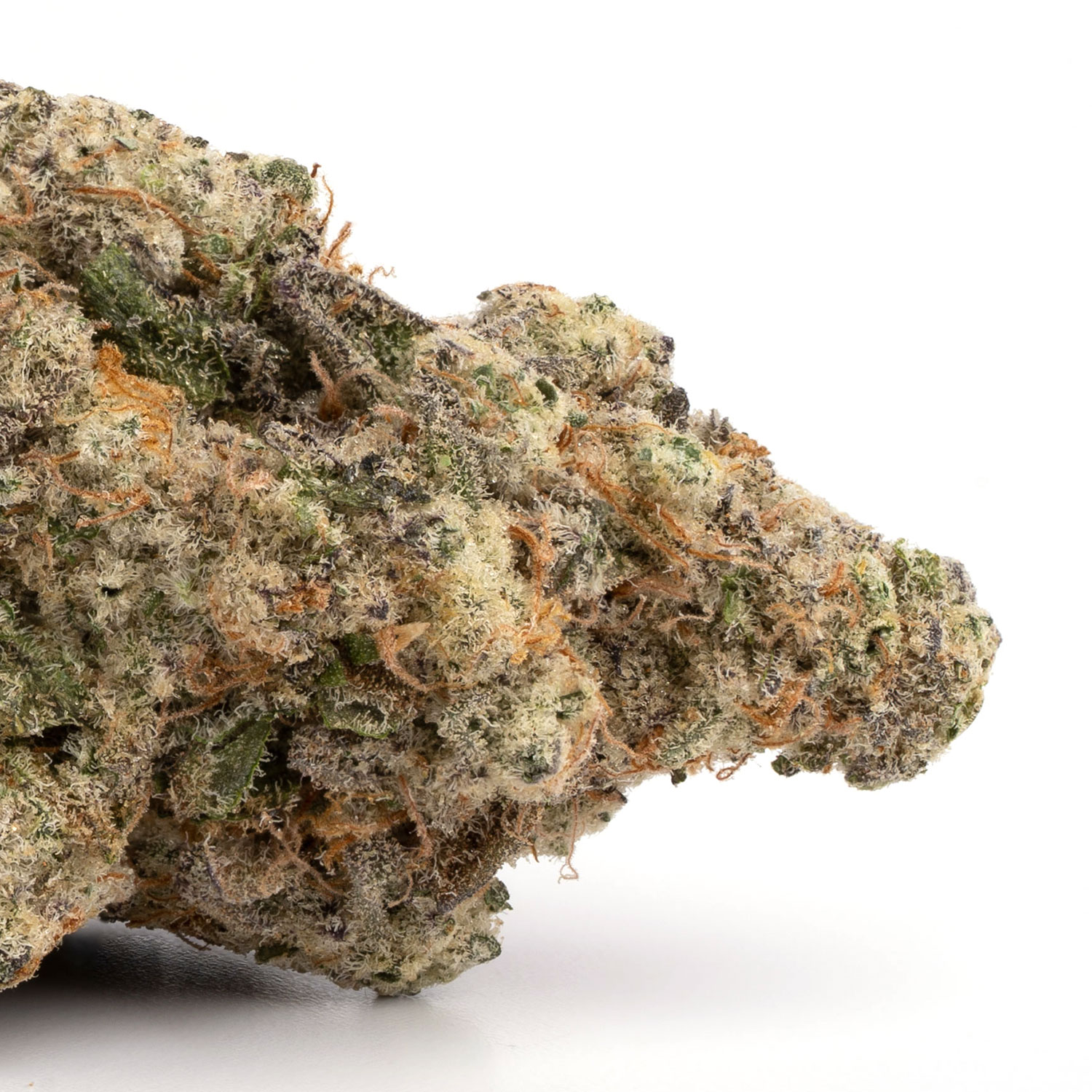 Photograph of product: Propaganda | Bananaconda | Flower | Bulk/Deli - 28g