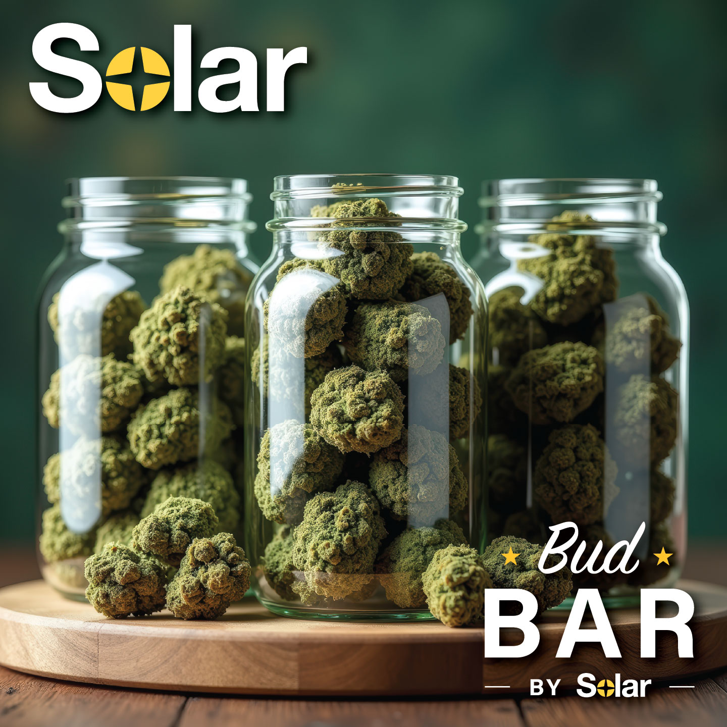 Photograph of product: Trunk Funk | Premium | Deli Flower - 28g