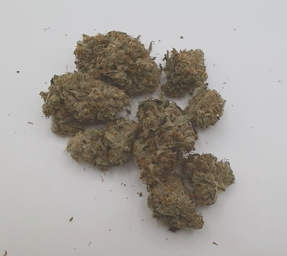 Photograph of product: CCC | Forest City Oui'd |  Spec Ops | Dogwalker | Pre-Roll