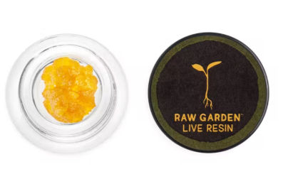 Photograph of product: Orange Glue Live Resin   1 G