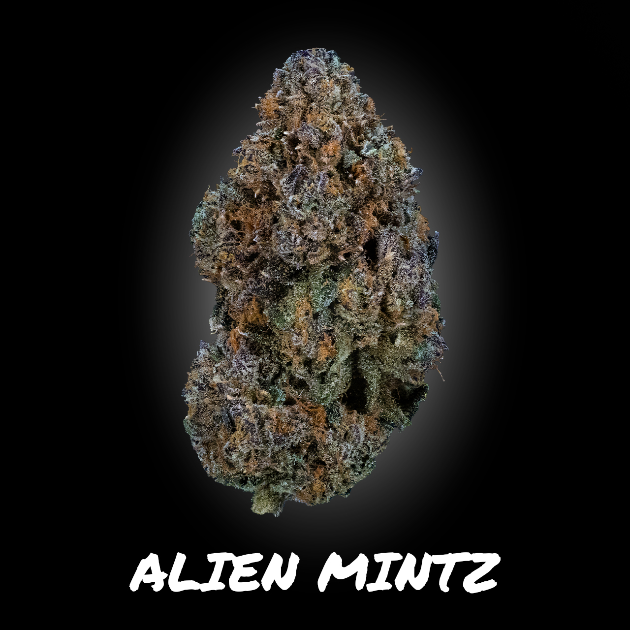 Photograph of product: Alien Mintz - Demboyz Prepackaged Flower - 3.5g